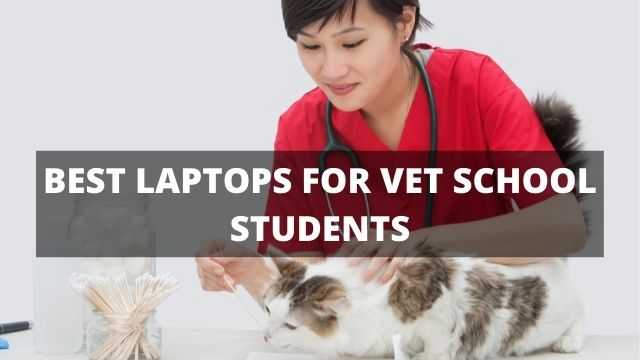 best laptops for vet school students