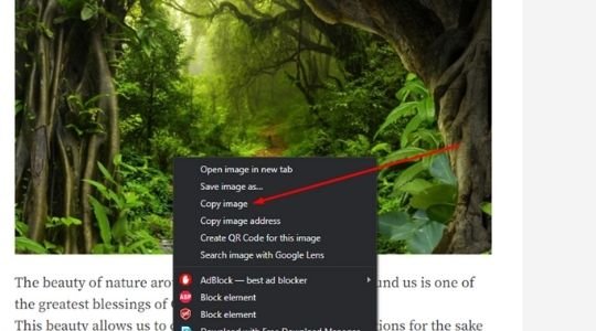 How To Copy And Paste Pictures On Acer Chromebook